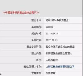 严为民最新爆料,揭秘事件背后惊人真相