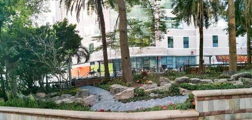 门口的花园最新爆料,最新爆料带你领略绿意盎然之美